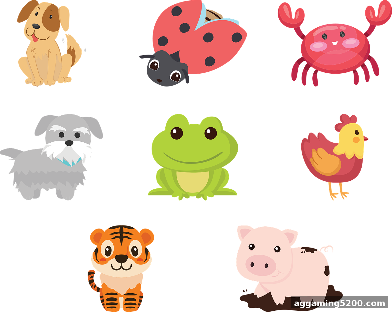 BG真人龙虎诀生日福利版-BG真人龙虎诀正版下载官方安卓版手机APP