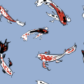 BBIN娛樂酒吧体育比分即时版-BBIN娛樂酒吧最新手机APP官方安装安卓苹果网页版